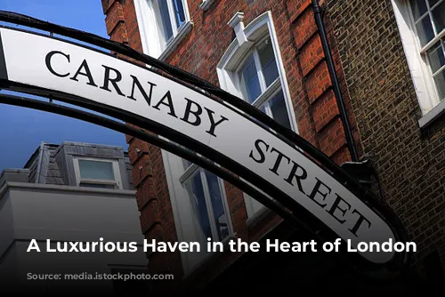 A Luxurious Haven in the Heart of London