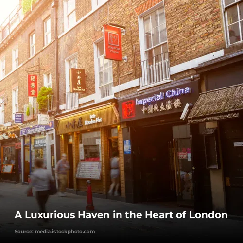 A Luxurious Haven in the Heart of London