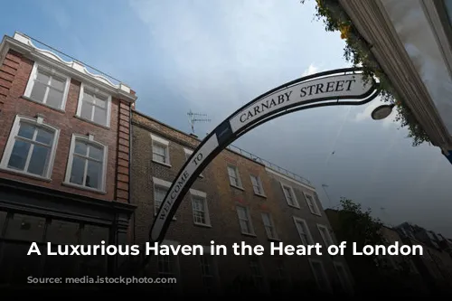 A Luxurious Haven in the Heart of London