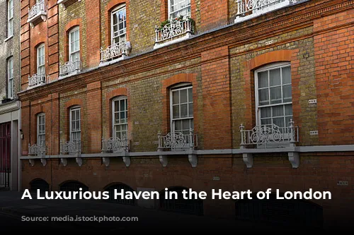 A Luxurious Haven in the Heart of London