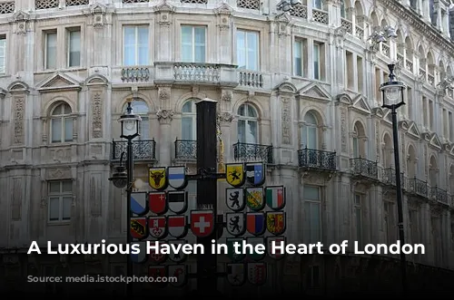 A Luxurious Haven in the Heart of London