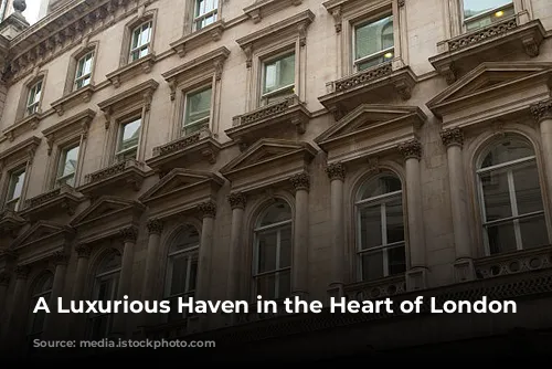 A Luxurious Haven in the Heart of London