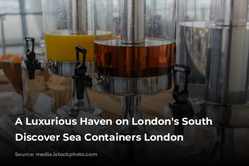 A Luxurious Haven on London's South Bank: Discover Sea Containers London