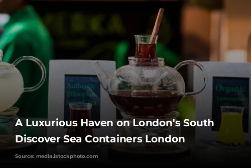 A Luxurious Haven on London's South Bank: Discover Sea Containers London