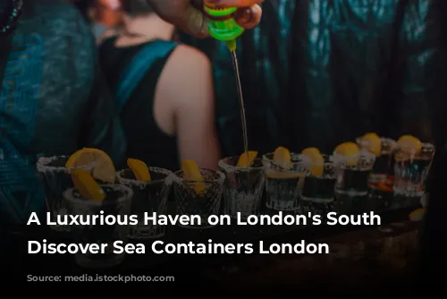 A Luxurious Haven on London's South Bank: Discover Sea Containers London