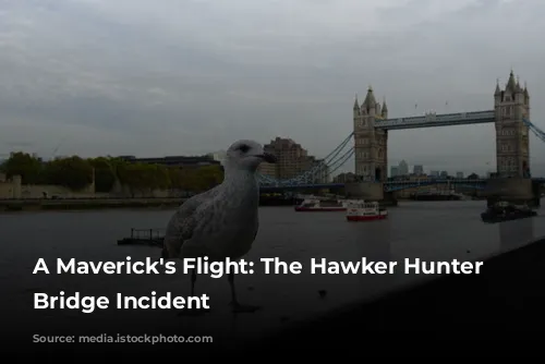 A Maverick's Flight: The Hawker Hunter Tower Bridge Incident