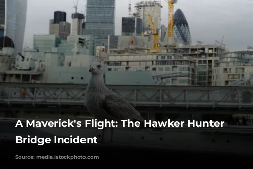 A Maverick's Flight: The Hawker Hunter Tower Bridge Incident