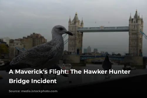 A Maverick's Flight: The Hawker Hunter Tower Bridge Incident