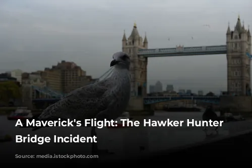 A Maverick's Flight: The Hawker Hunter Tower Bridge Incident