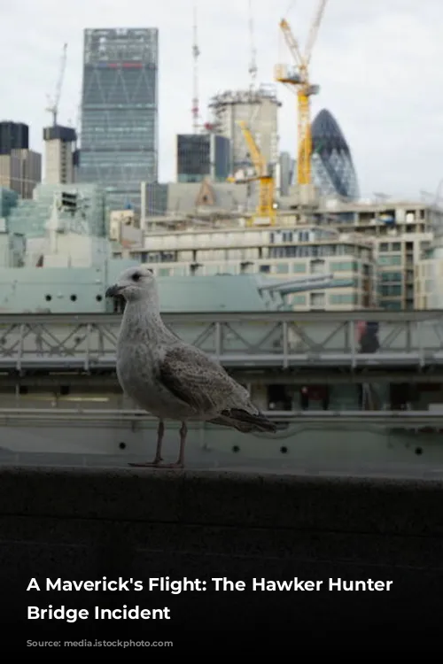 A Maverick's Flight: The Hawker Hunter Tower Bridge Incident