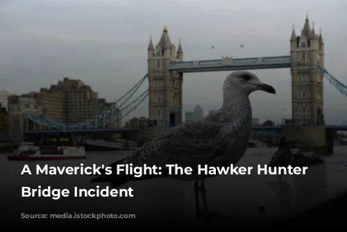 A Maverick's Flight: The Hawker Hunter Tower Bridge Incident