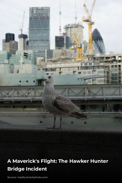 A Maverick's Flight: The Hawker Hunter Tower Bridge Incident