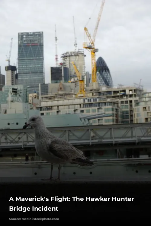 A Maverick's Flight: The Hawker Hunter Tower Bridge Incident