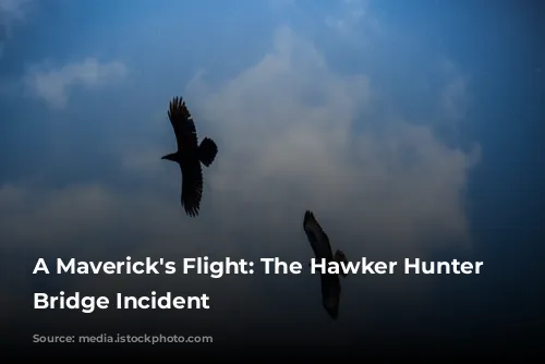 A Maverick's Flight: The Hawker Hunter Tower Bridge Incident