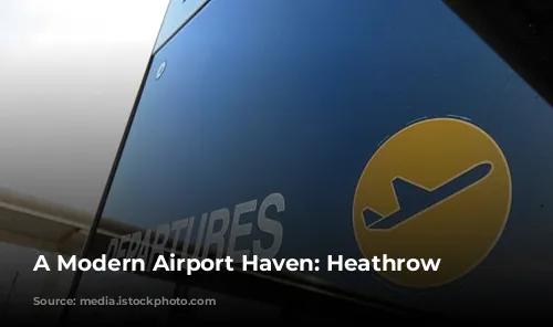 A Modern Airport Haven: Heathrow Hilton