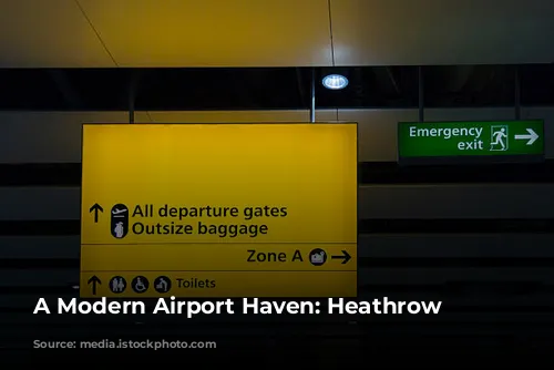 A Modern Airport Haven: Heathrow Hilton