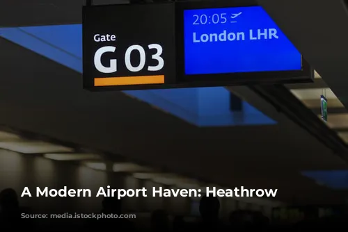 A Modern Airport Haven: Heathrow Hilton