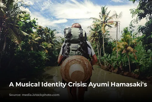 A Musical Identity Crisis: Ayumi Hamasaki's (Miss)understood