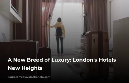 A New Breed of Luxury: London's Hotels Reach New Heights