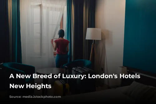 A New Breed of Luxury: London's Hotels Reach New Heights