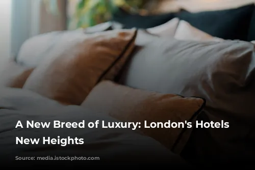 A New Breed of Luxury: London's Hotels Reach New Heights