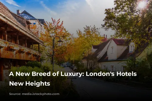 A New Breed of Luxury: London's Hotels Reach New Heights