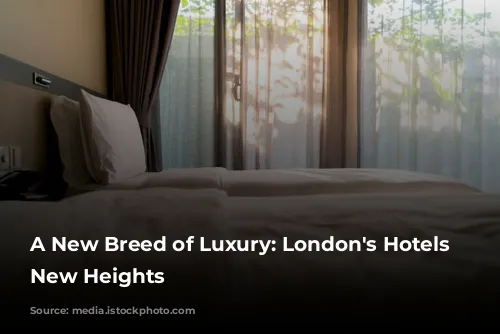 A New Breed of Luxury: London's Hotels Reach New Heights