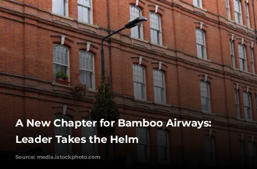 A New Chapter for Bamboo Airways: Experienced Leader Takes the Helm