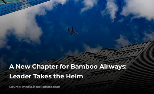 A New Chapter for Bamboo Airways: Experienced Leader Takes the Helm