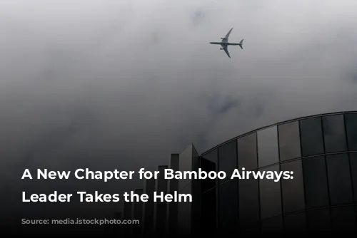 A New Chapter for Bamboo Airways: Experienced Leader Takes the Helm