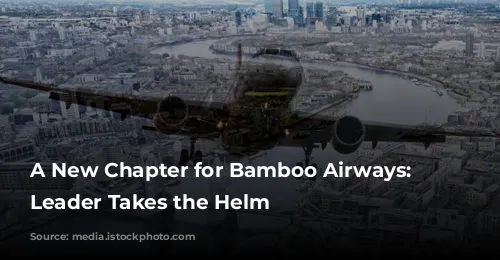 A New Chapter for Bamboo Airways: Experienced Leader Takes the Helm