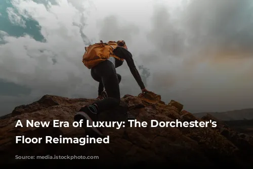 A New Era of Luxury: The Dorchester's Ground Floor Reimagined