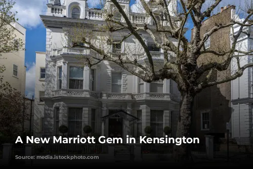 A New Marriott Gem in Kensington