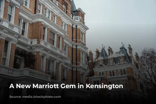 A New Marriott Gem in Kensington