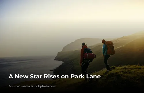 A New Star Rises on Park Lane