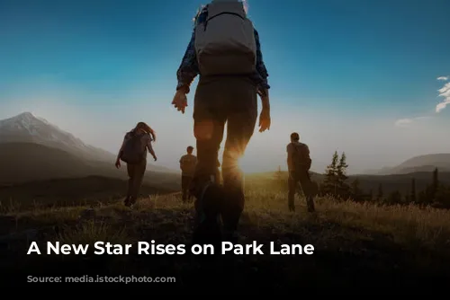 A New Star Rises on Park Lane