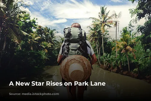 A New Star Rises on Park Lane