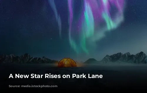 A New Star Rises on Park Lane