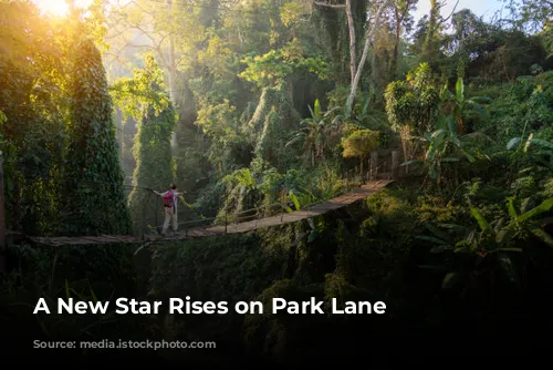 A New Star Rises on Park Lane