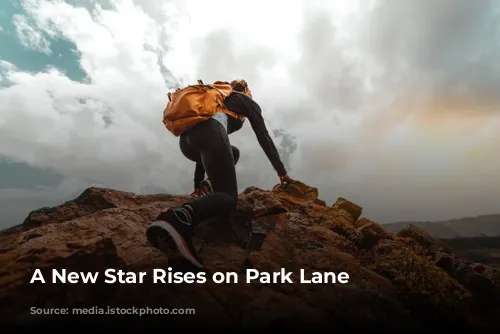 A New Star Rises on Park Lane