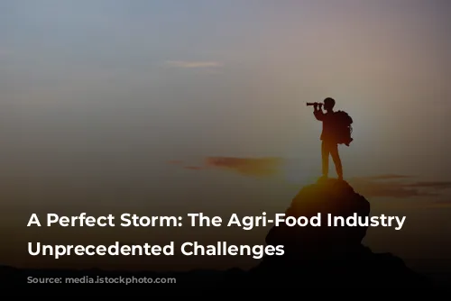 A Perfect Storm: The Agri-Food Industry Faces Unprecedented Challenges