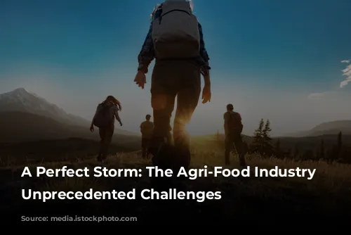 A Perfect Storm: The Agri-Food Industry Faces Unprecedented Challenges