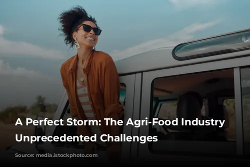 A Perfect Storm: The Agri-Food Industry Faces Unprecedented Challenges