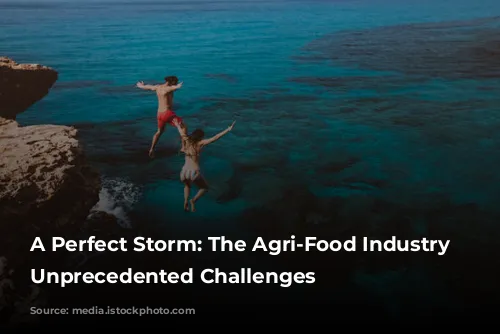 A Perfect Storm: The Agri-Food Industry Faces Unprecedented Challenges