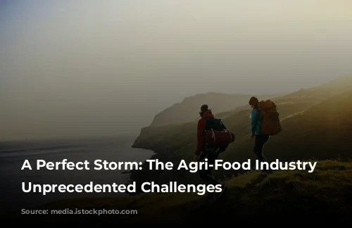 A Perfect Storm: The Agri-Food Industry Faces Unprecedented Challenges