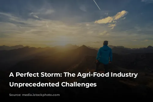 A Perfect Storm: The Agri-Food Industry Faces Unprecedented Challenges