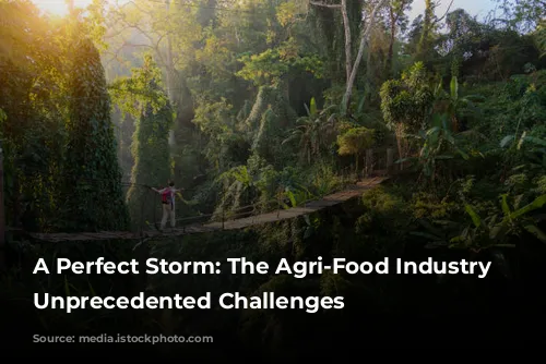 A Perfect Storm: The Agri-Food Industry Faces Unprecedented Challenges