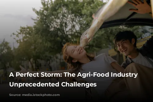 A Perfect Storm: The Agri-Food Industry Faces Unprecedented Challenges