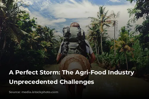 A Perfect Storm: The Agri-Food Industry Faces Unprecedented Challenges