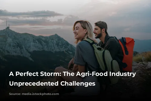 A Perfect Storm: The Agri-Food Industry Faces Unprecedented Challenges